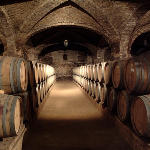viñas bodega con barricas cuadrado